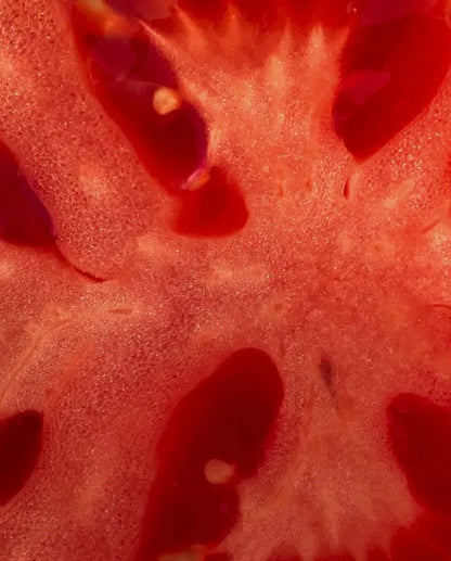 Protaflo